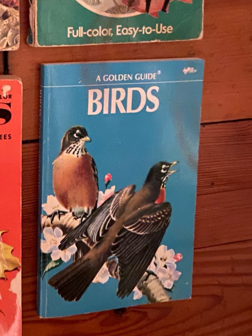 Vintage Golden Birds bird i.d. Book Blue Red Robin illustrated NATURE outdoor
